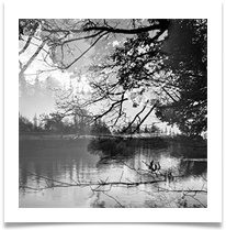 Pentax 3 - 3 sq - Chris Beesely